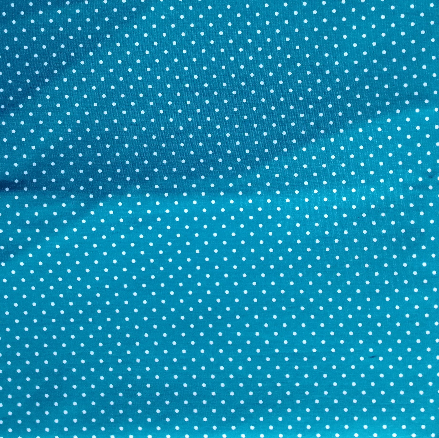 IMP_418 - Pois bleu canard