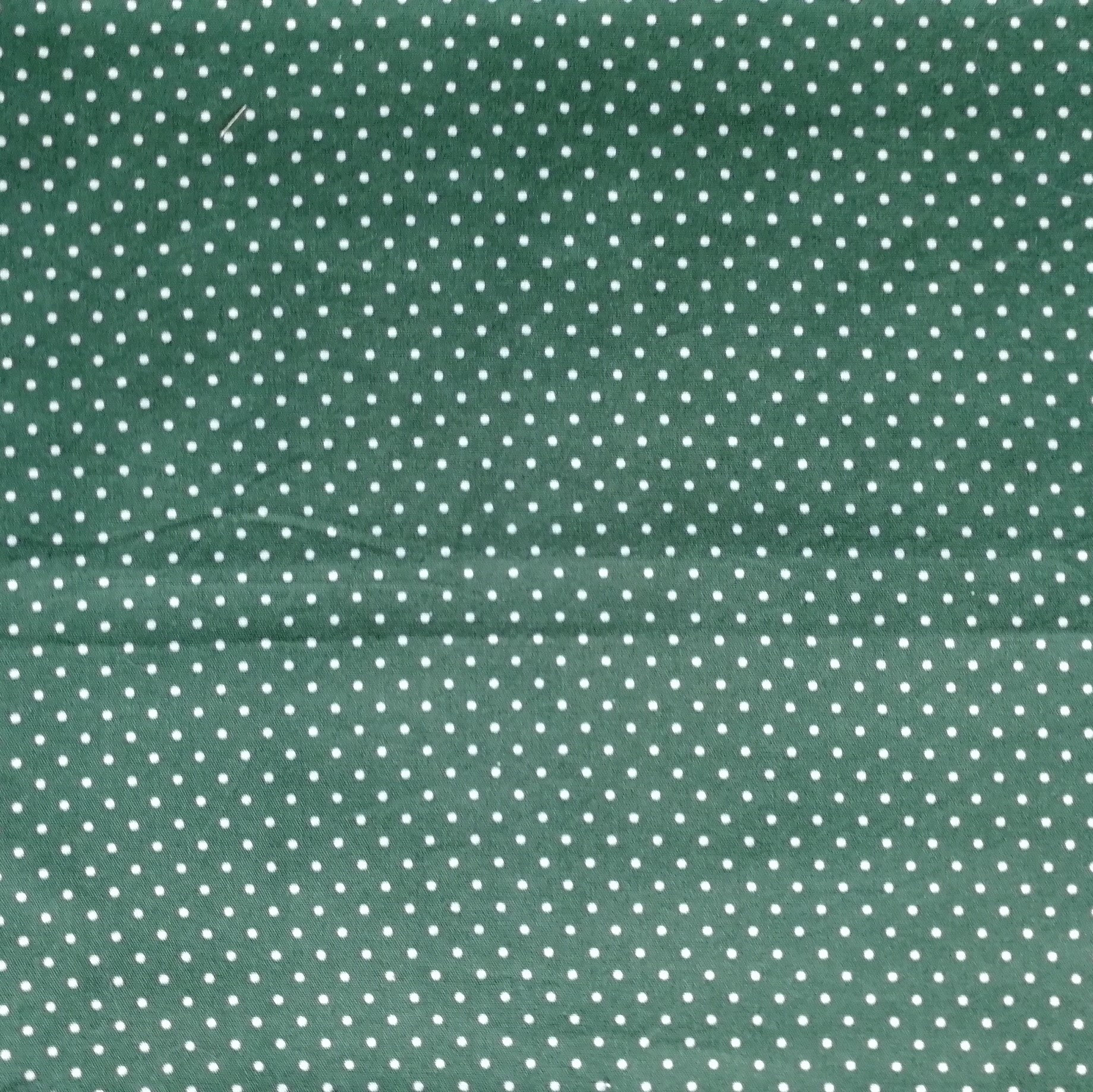 IMP_421 - Pois vert sapin