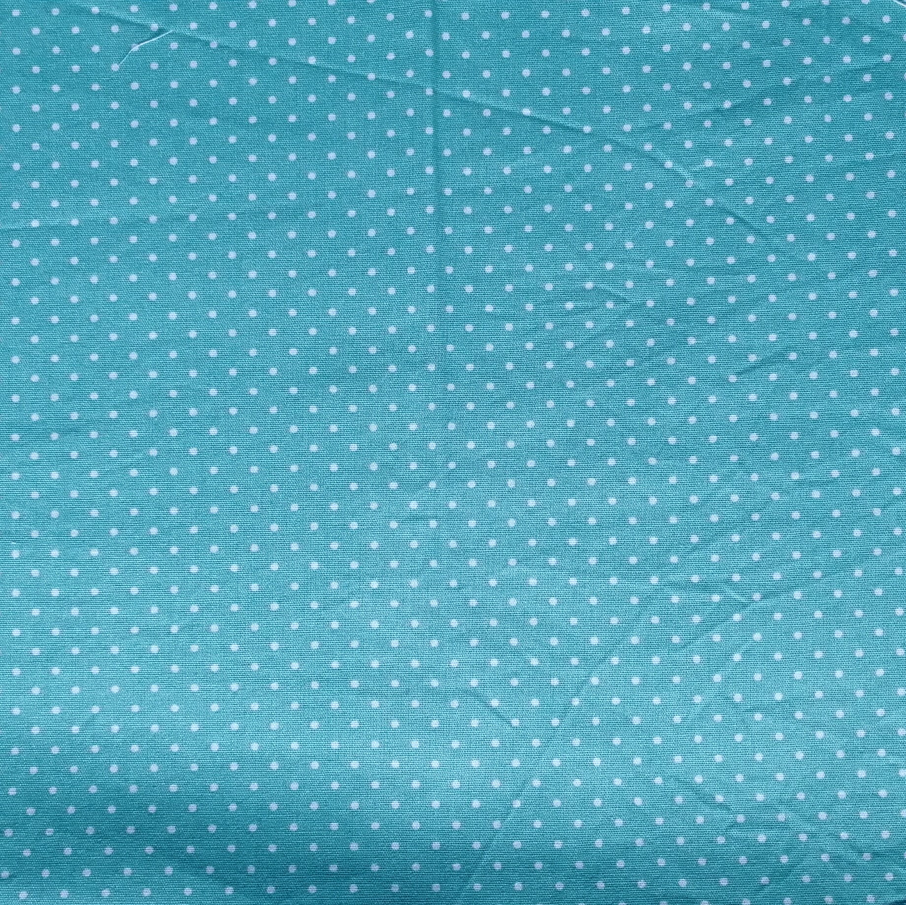 IMP_422 - Pois turquoise